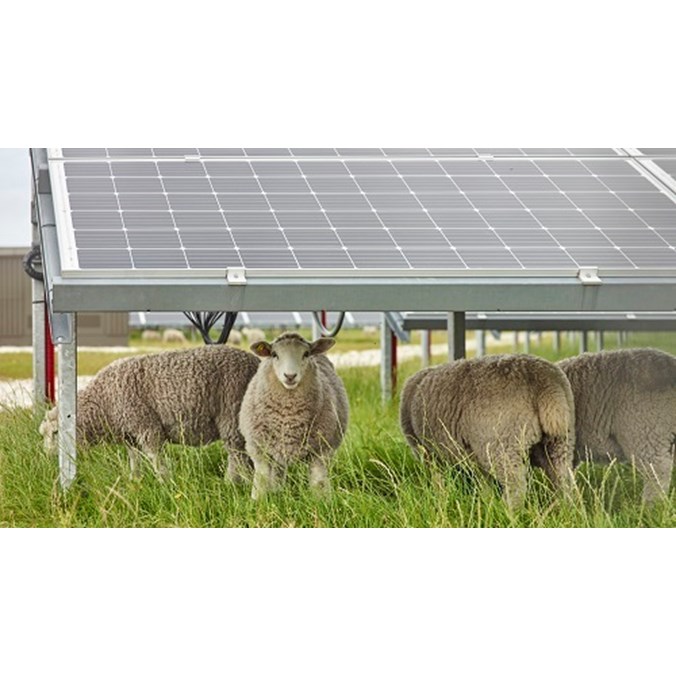 Developing a renewable energy scheme with NFU Energy