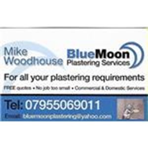 Blue Moon Plastering